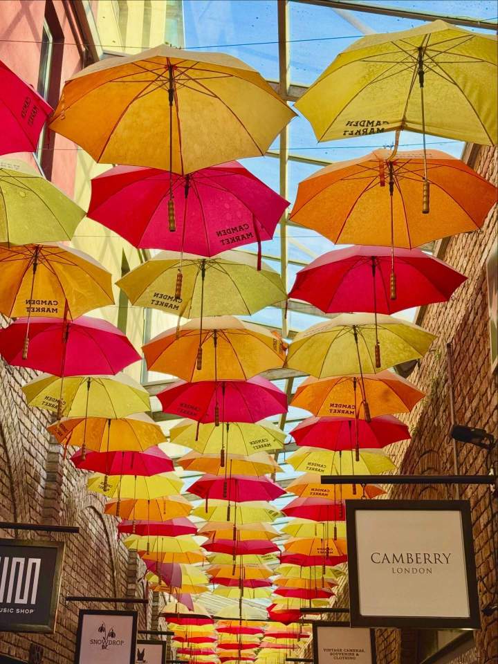 Séances photo Auvergne-Rhône-Alpes